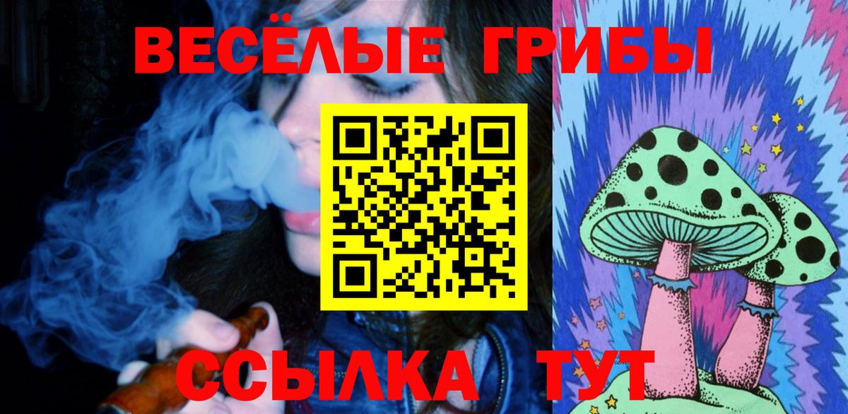 Псилоцибиновые грибы мухоморы Павловский Посад