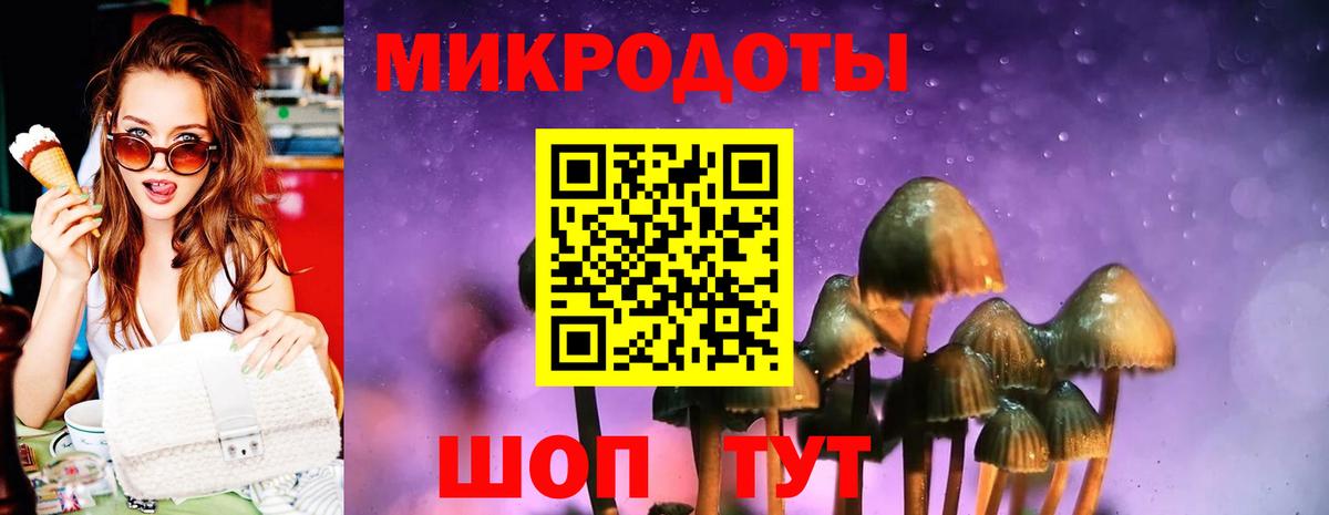 Павловский Посад  Галлюциногенные грибы Psilocybine cubensis  Вход с VPN 